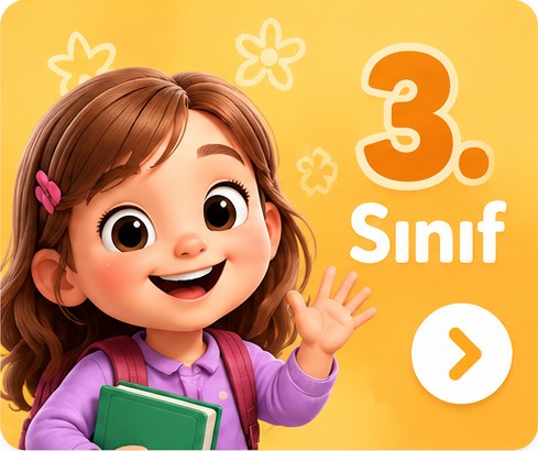 3. Sınıf